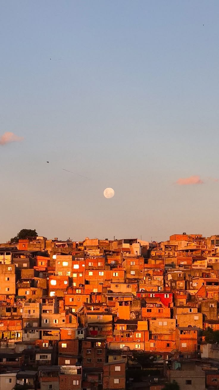 Favela Window